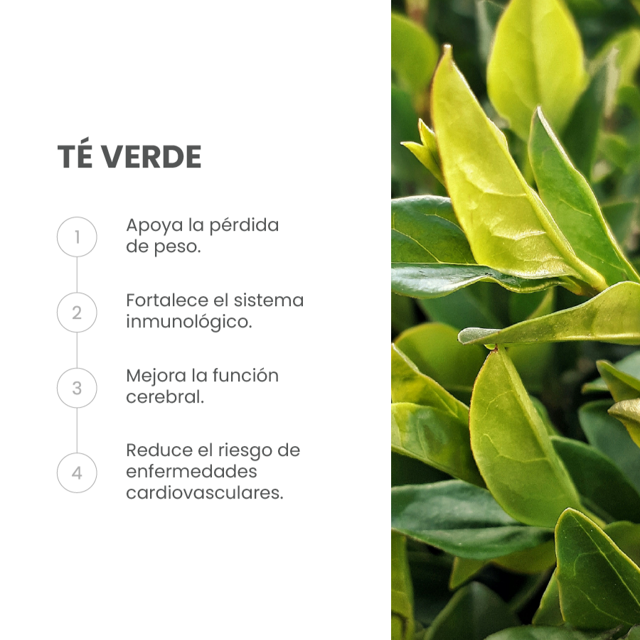 Ingrediente Té Verde